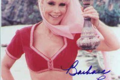 Barbara-Eden-2