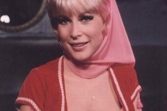 Barbara-Eden-6