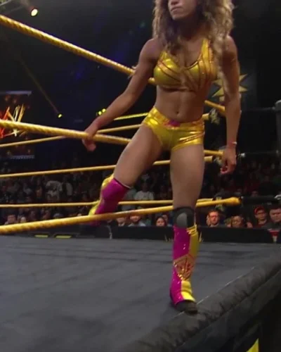 Sasha Banks – WWE NXT 9-11-13