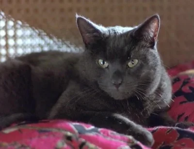 Heather Graham Sex Scene In Killing Me Softly