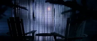 Goldie Hawn – Bird on a Wire